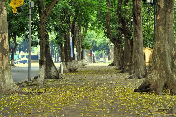 Đường Phan Đình Phùng Hà Nội