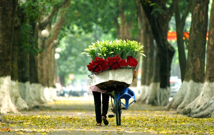 Đường Phan Đình Phùng Hà Nội - Con đường lãng mạn bậc nhất Hà Nội