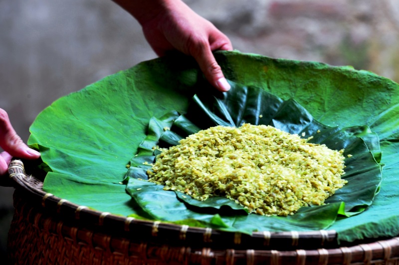 Mùa cốm Hà Nội